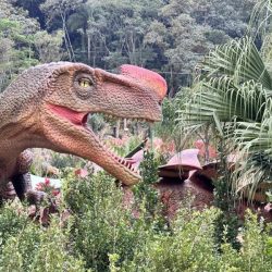 8.10B ingresso-aventura-jurassica-6798dc5d7c2ac-large