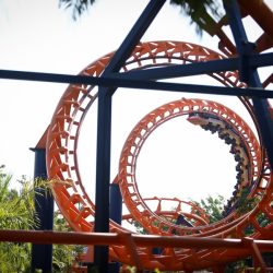 8.6 transfer-beto-carrero-world-1-dia-6581ca218109f-large