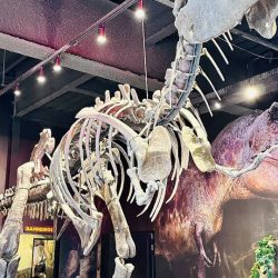 Passaporte-da-diversao-vip-5-atracoes 03