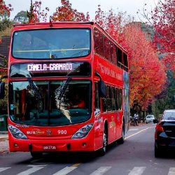 ticket-bustour-um-dia-de-uso-5f400e16ac86a-large