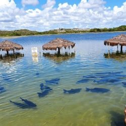 tour-lagoa-dos-tambaquis-com-day-use-665964e23f916-large